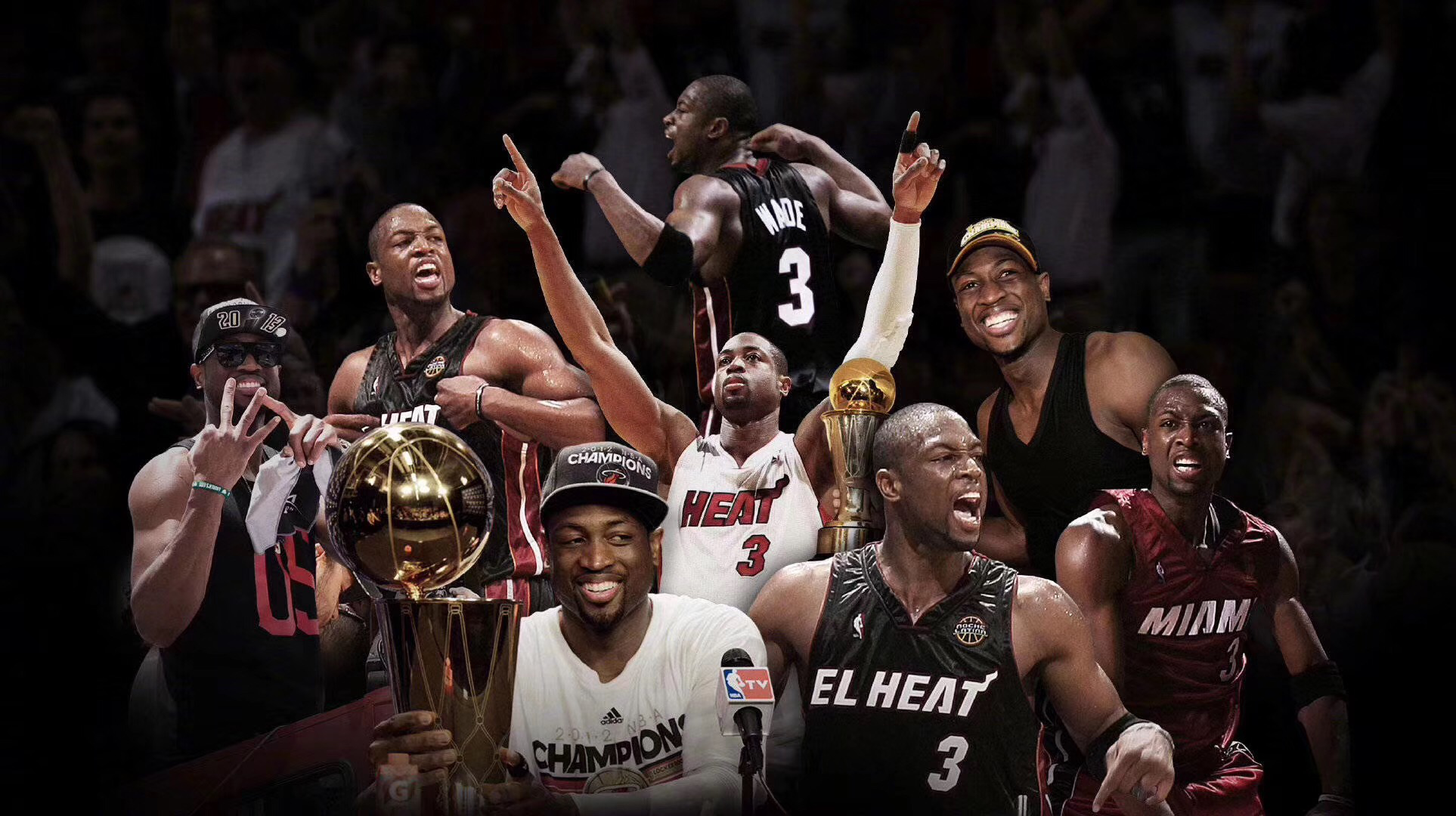 荷兰化的背 荷兰化的背