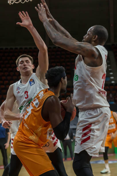 着更高的长 着更高的长